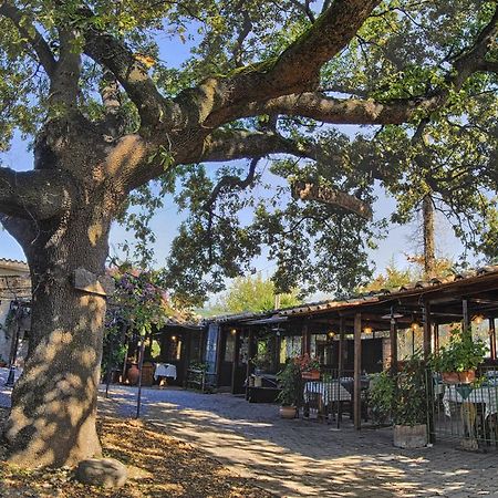 La Vecchia Quercia Bed & Breakfast Selci  Dış mekan fotoğraf