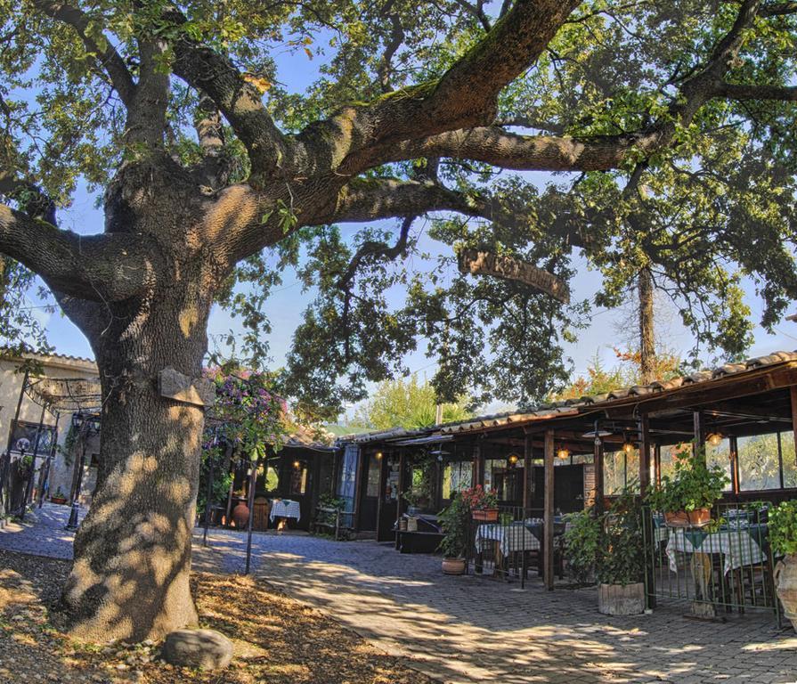 La Vecchia Quercia Bed & Breakfast Selci  Dış mekan fotoğraf