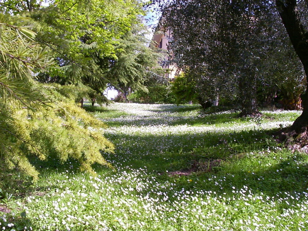 La Vecchia Quercia Bed & Breakfast Selci  Dış mekan fotoğraf